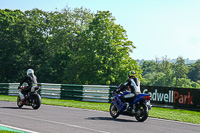 Lower Group Blue Bikes